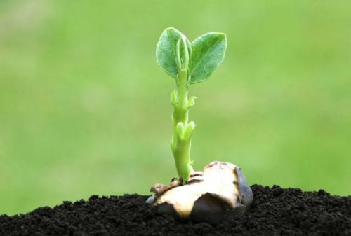 全项目土壤肥料养分检测仪