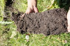 你了解土壤PH检测仪吗?