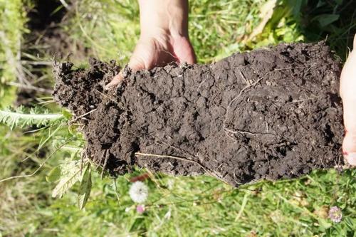 土壤PH检测仪 土壤PH检测仪