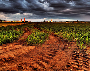 土壤测试仪 土壤测试仪