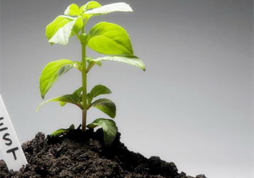 全项目土壤肥料养分检测仪 全项目土壤肥料养分检测仪