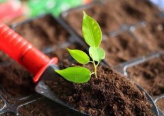 土肥仪帮助农业增产提**益